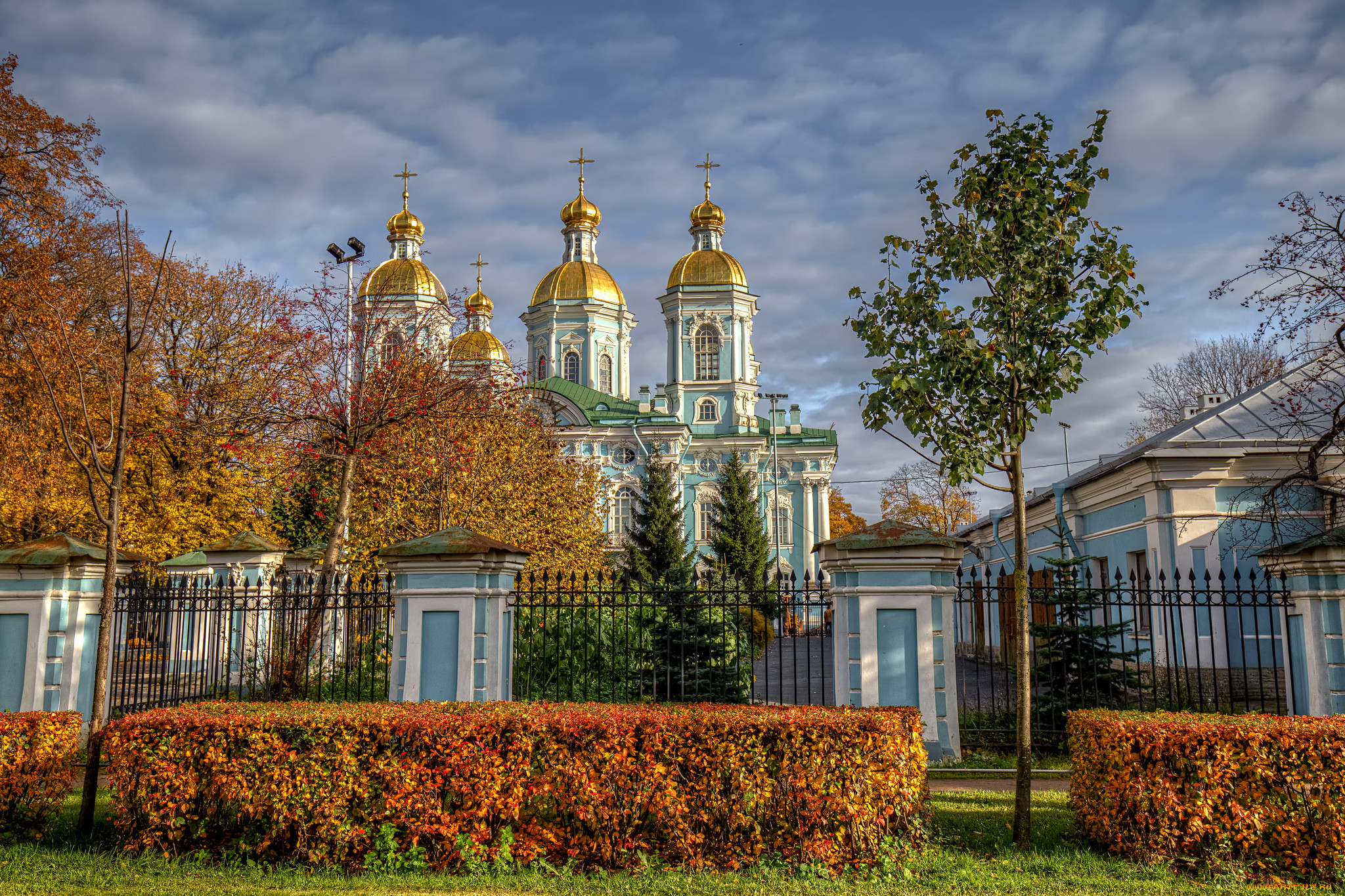sankt petersburg, , -,   , , 